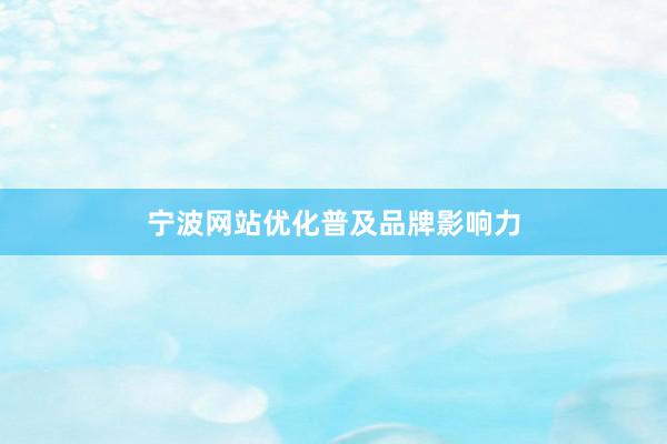 宁波网站优化普及品牌影响力